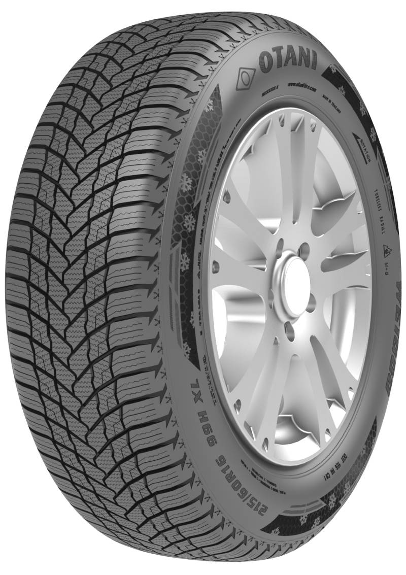    Otani WE1000 205/60 R16 