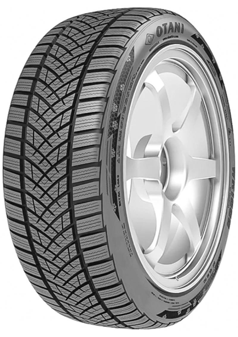    Otani WK1000 225/65 R17 